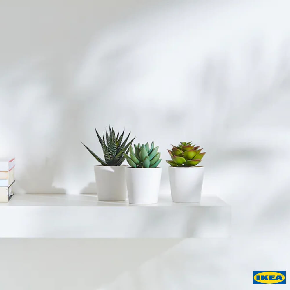 Buy Ikea FEJKA Artificial potted plant with pot, in/outdoor Succulent