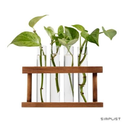 UMI - Zen Desk Plant Propagation 4 Tubes Station for Mindful Workspaces