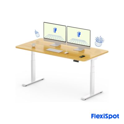 flexispot (4)