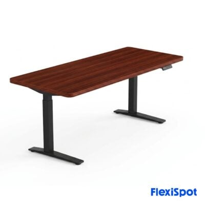 flexispot (20)