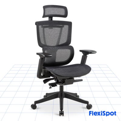 Flexispot C7 - Premium Adjustable Ergonomic chair