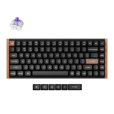 Keychron-K2-HE-75-Percent-Layout-Wireless-Magnetic-Switch-Custom-Keyboard-Special-Edition-Wooden-Black-RGB-Backlight-Double-Shot-PBT-Keycaps