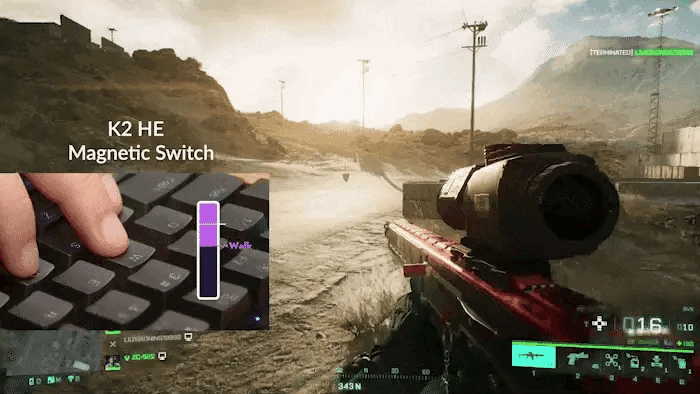 GIF Image