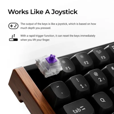 Switch-features