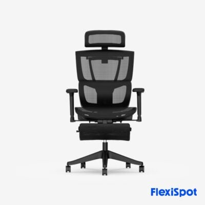 flexispot (8)