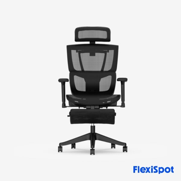 flexispot (8)