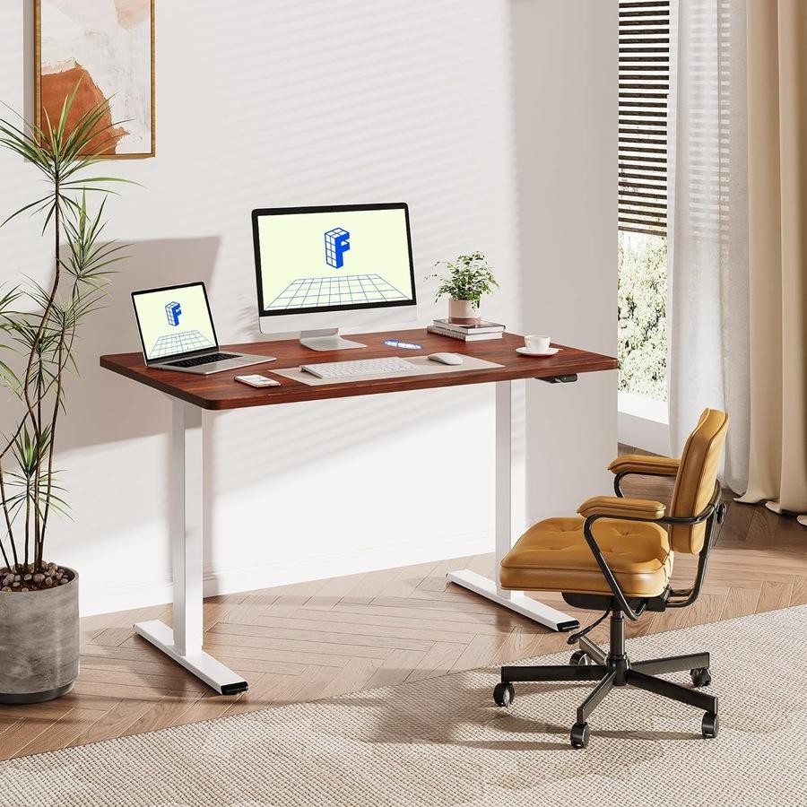 Flexispot E2 Pro - Eletric Ergonomic Standing Desk (140x70 CM ...