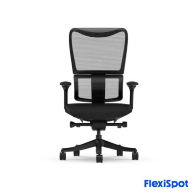flexispot (7)