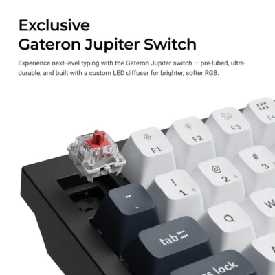 Q6-Max-Gateron-Jupiter-Switch