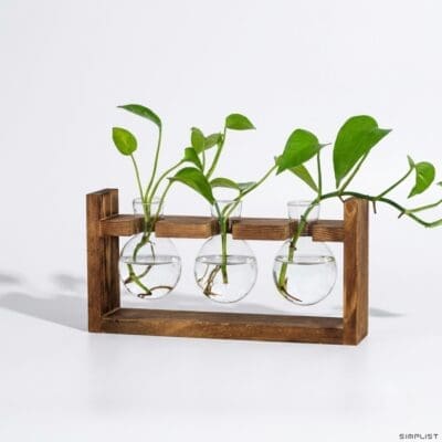 MIZU - Desk Propogation Tube (Aquatic Plant Holder)