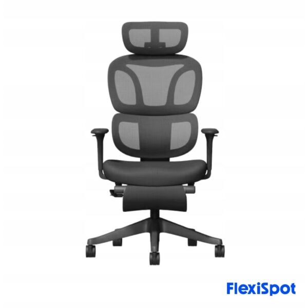 flexispot (16)