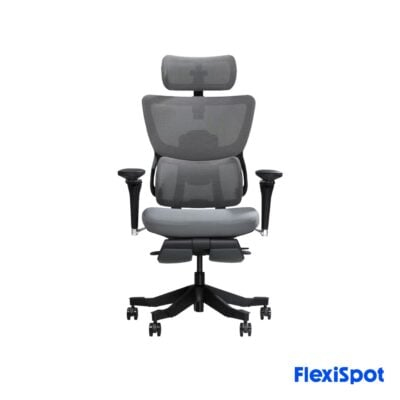 Flexispot C7 Max - Premium Ergonomic Chair