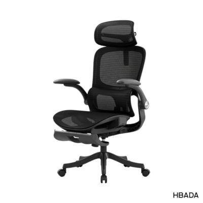 HBADA P2 Pro (Gen 2) Ergonomic Chair