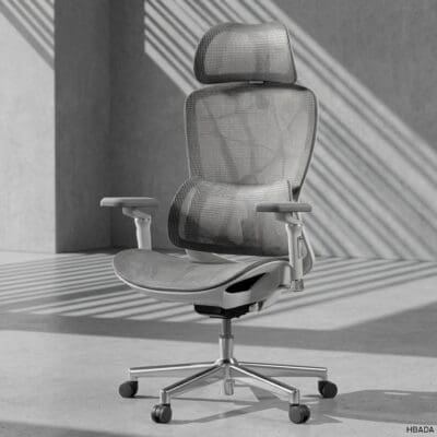 HBADA E2 PRO Ergonomic Chair