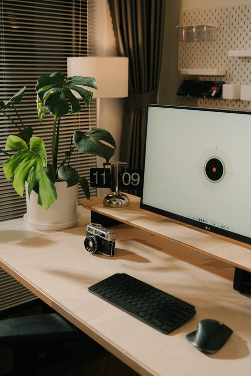 A tidy minimalist home office desk with a lamp and plant